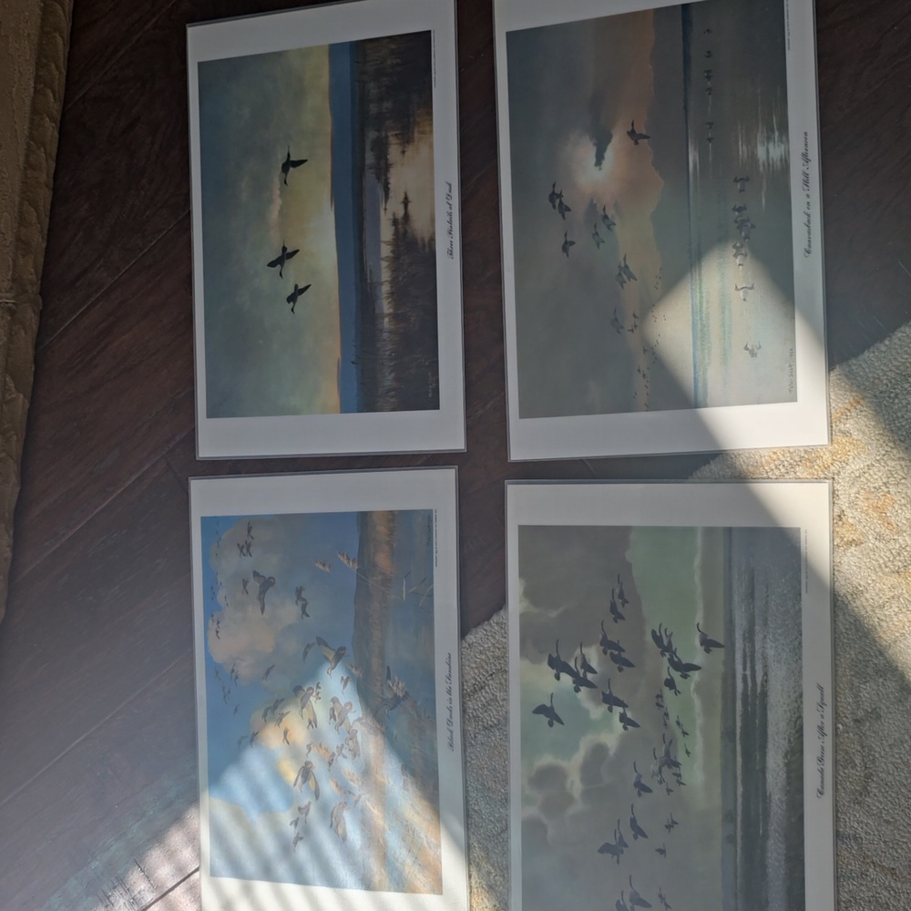 Set of Four Peter Scott 1952 Prints